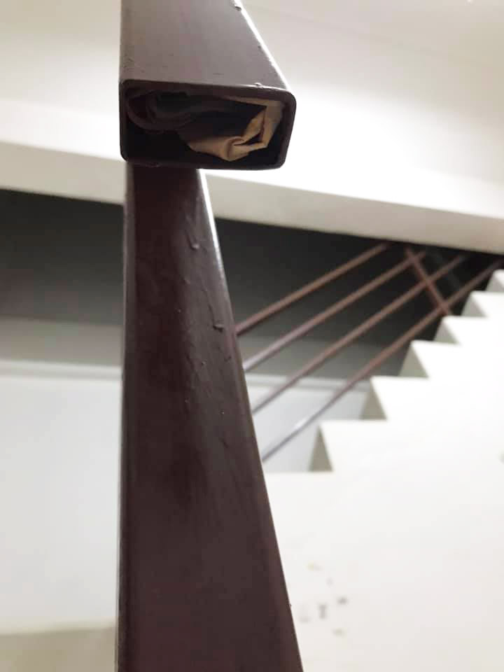 แมวชี้เป้าที่ซ่อนเงิน