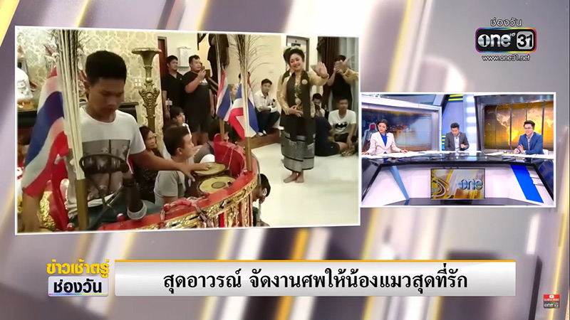 จัดงานศพให้แมว