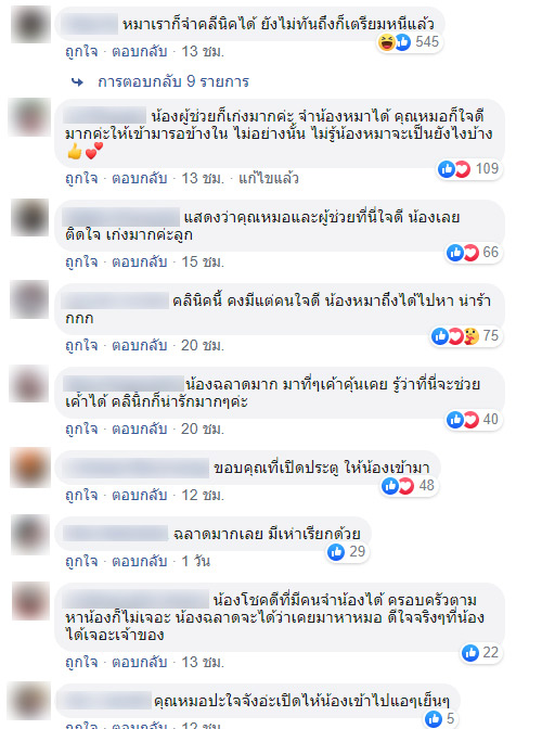 หมาหลงทางเห่าเรียกหมอให้ช่วย