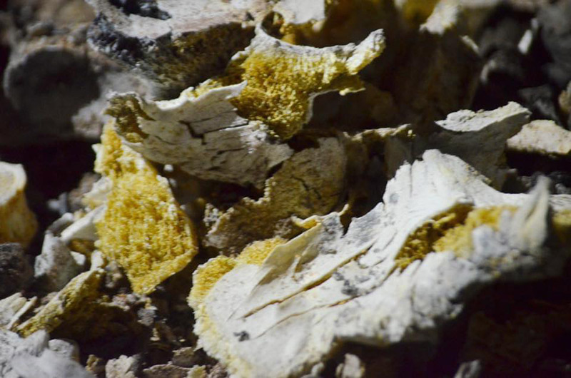 หลวงพ่อสุดใจ มรณภาพ