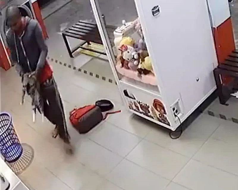 ข่าวฆ่าแมว