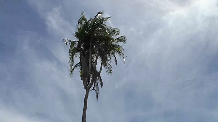 เลขเด็ดงวดนี้