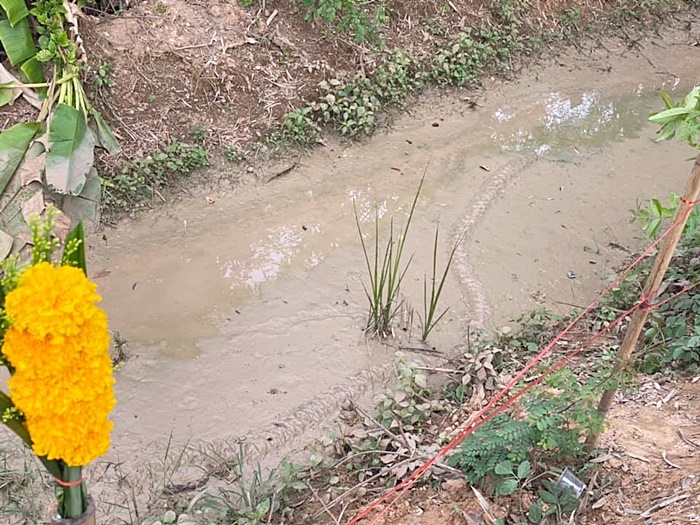 รอยปริศนาเลื้อยใกล้ศาลพญานาค