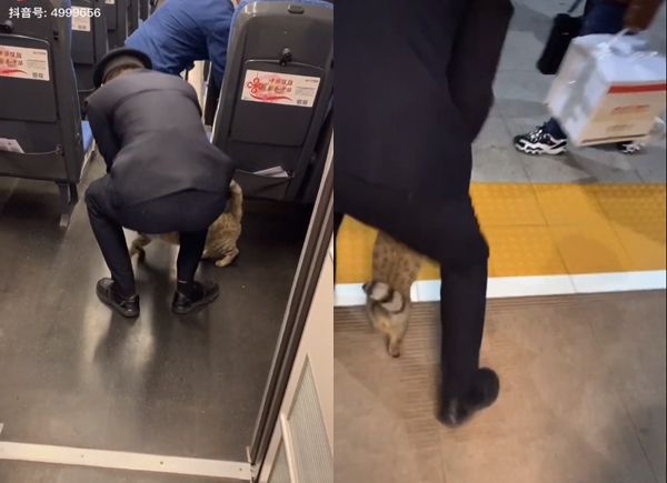 คลิปไวรัล