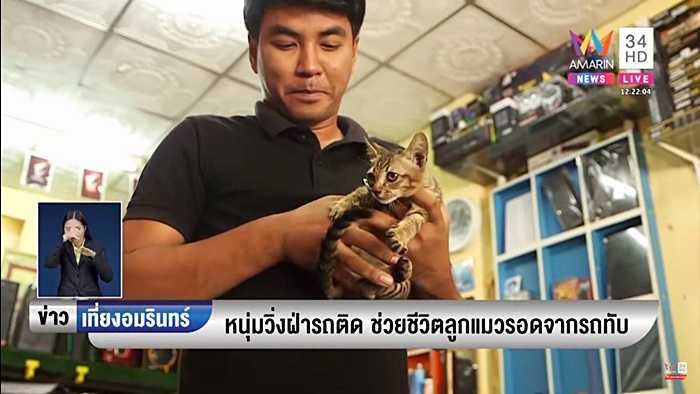 ช่วยแมว