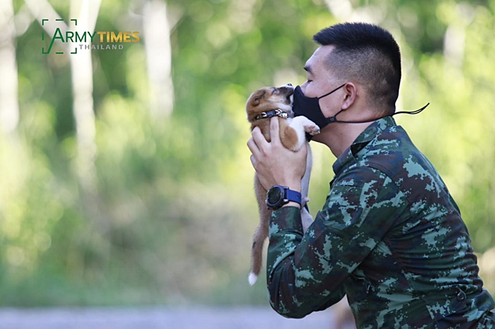 พี่ทหารชายแดนใต้ กับ เจ้าลูกหมาตัวเล็ก 