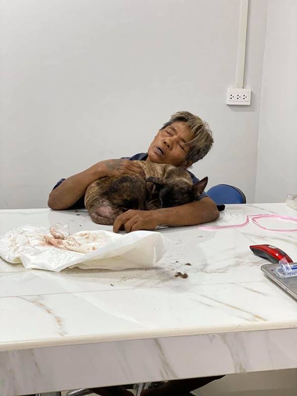 คนรักหมา