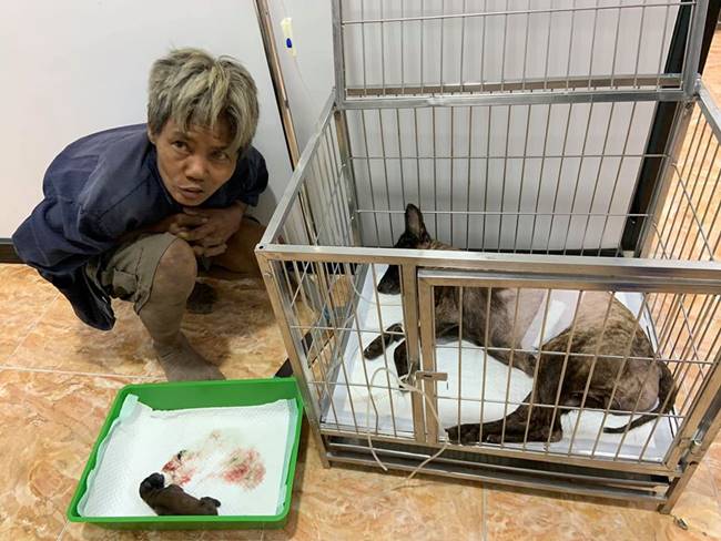 คนรักหมา