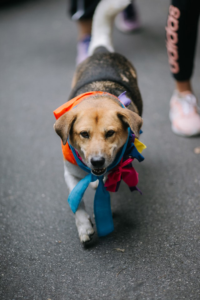 พี่เตี้ย มช.