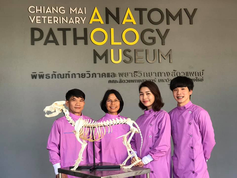 ข่าวพี่เตี้ย มช.