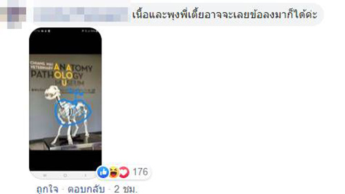 ข่าวพี่เตี้ย มช.