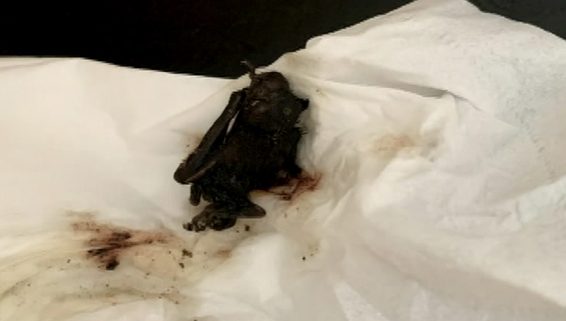 ถ้วยซุป