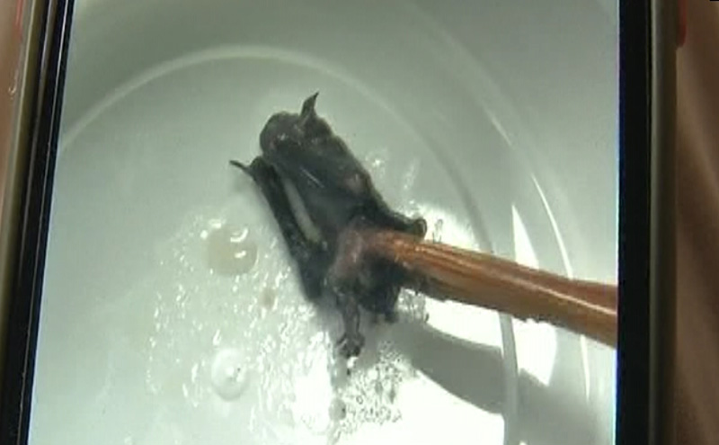 ถ้วยซุป