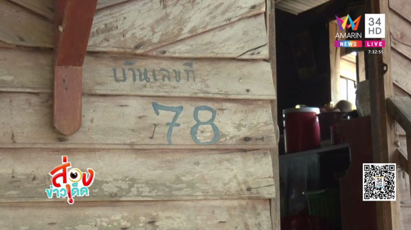 ต้นมะพร้าวออกลูกเหมือนมะละกอ 