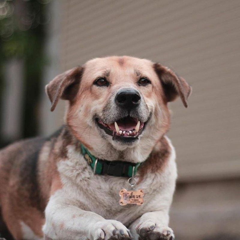 เตี้ย มช.