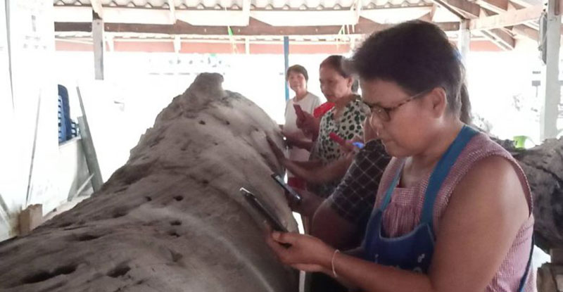 แห่ขอเลขเด็ดเจ้าแม่ตะเคียนทอง