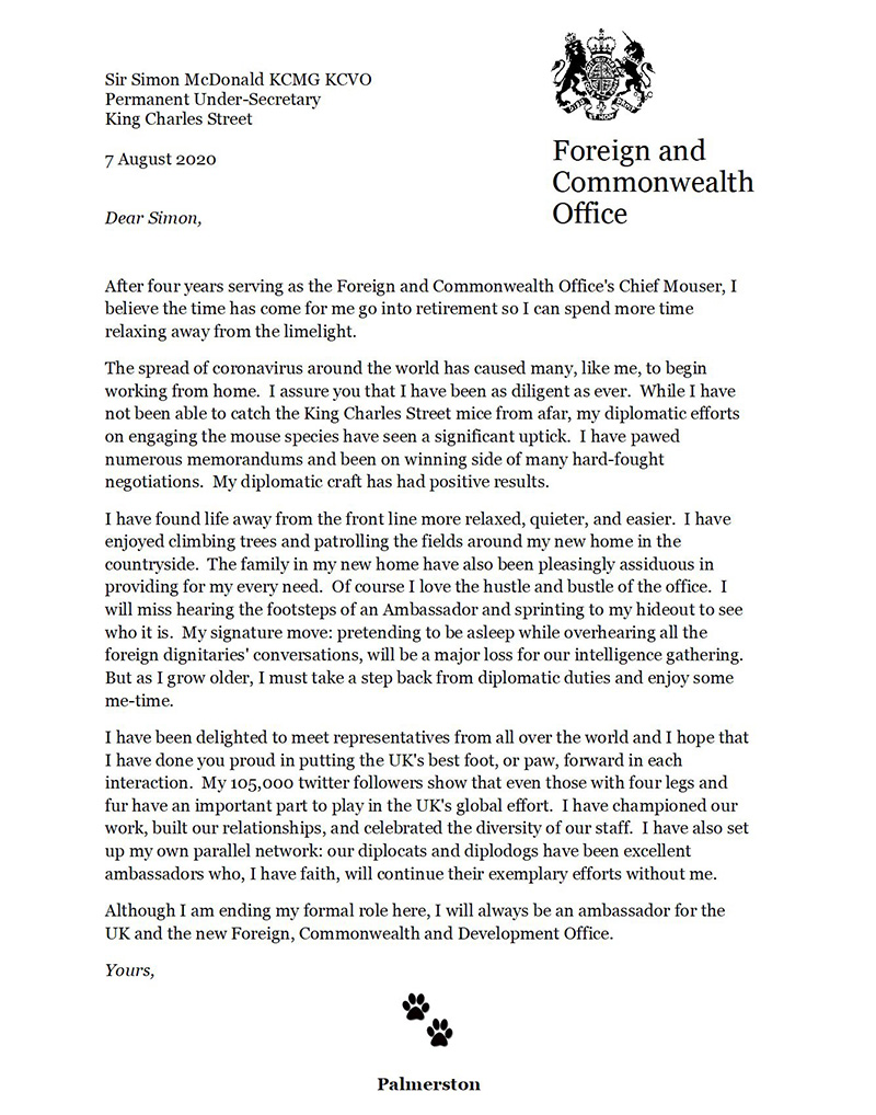 หัวหน้านักจับหนู