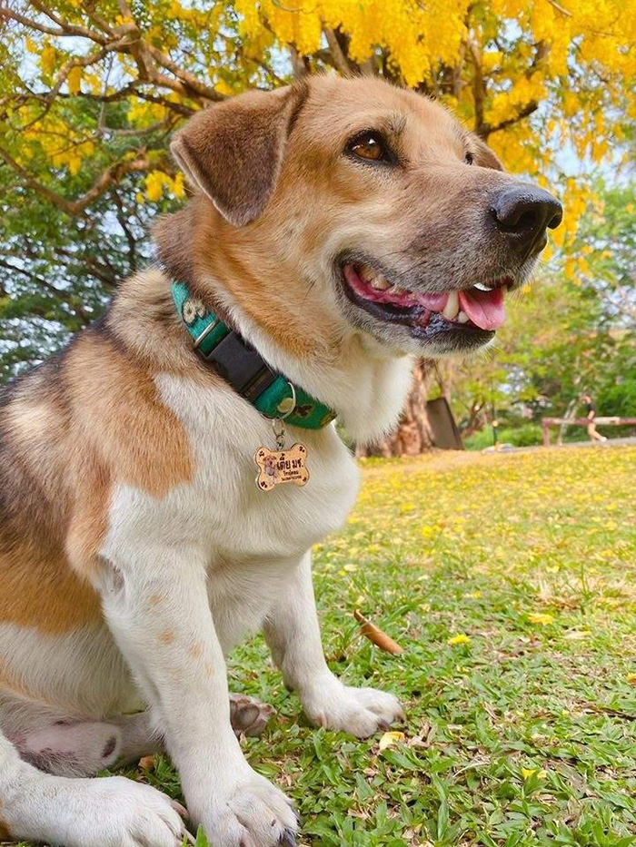 เตี้ย มช.