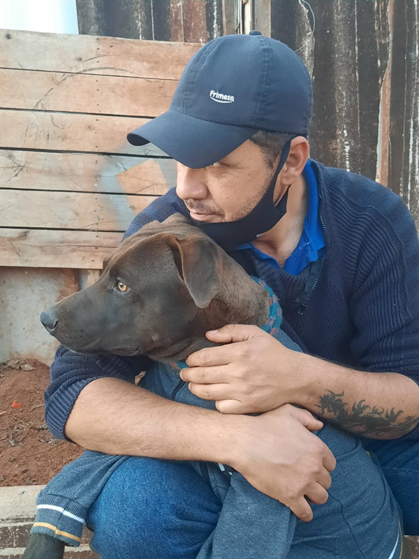 อนาคอนด้ารัดหมา