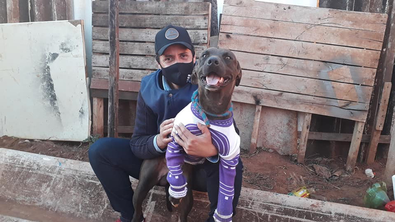 อนาคอนด้ารัดหมา