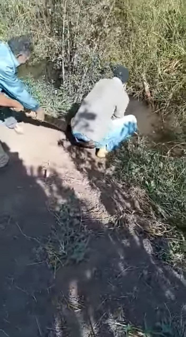 อนาคอนด้ารัดหมา