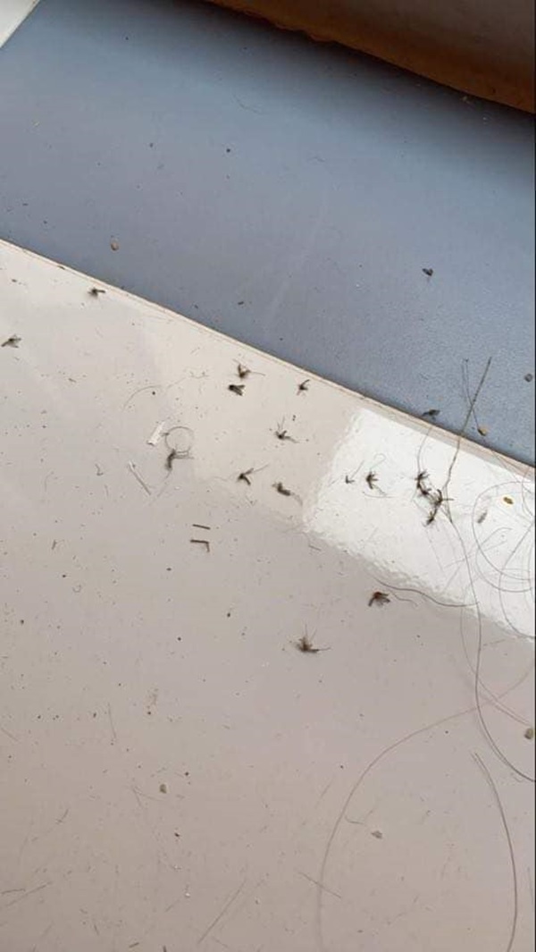 รีวิวกักตัว โควิด 19