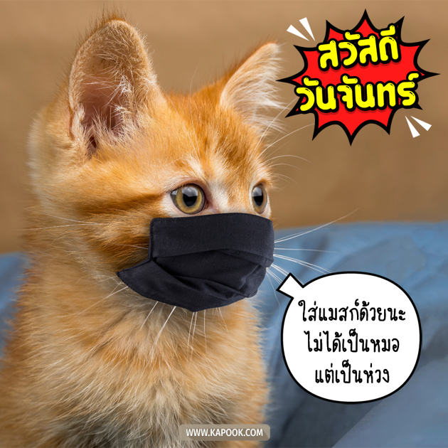 ดูดวงรายวัน