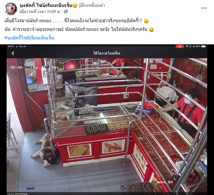 โจรปล้นร้านทอง ไซบีเรียนนอนนิ่ง