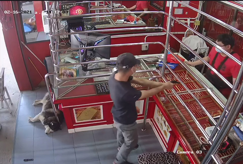 โจรปล้นร้านทอง ไซบีเรียนนอนนิ่ง