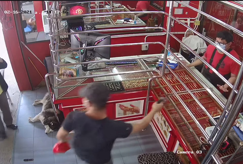 โจรปล้นร้านทอง ไซบีเรียนนอนนิ่ง