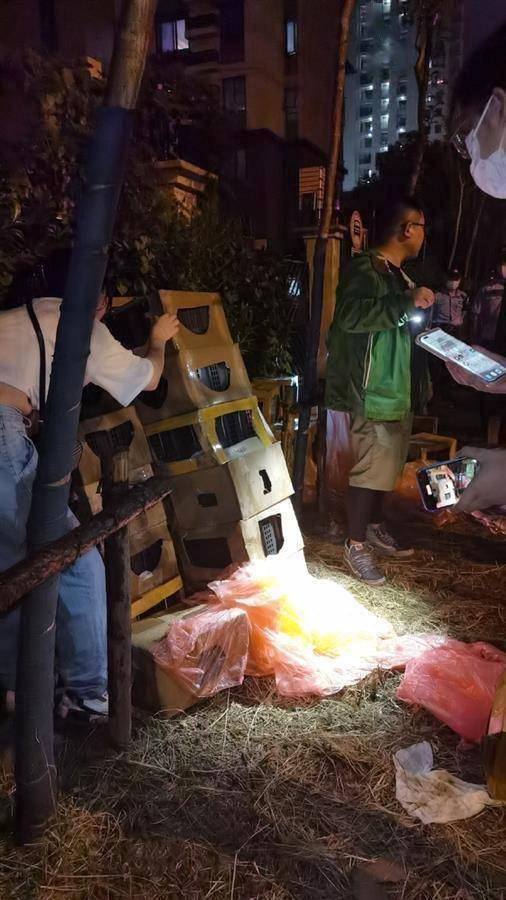 กล่องสุ่มหมาแมว