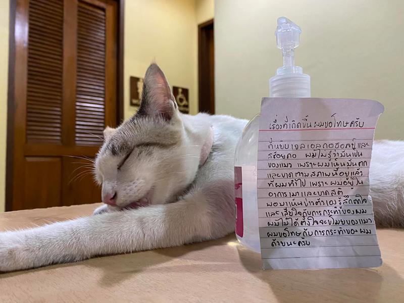 ขโมยสร้อยคอแมว