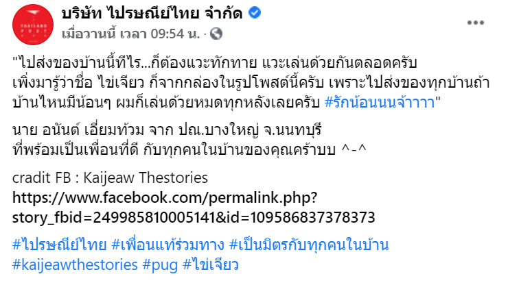 น้องไข่เจียว หมาปั๊ก