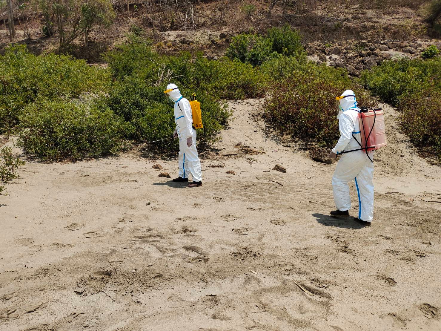 พ่นยาฆ่าโควิดในป่า