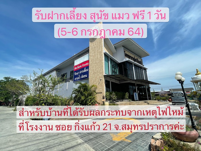 ช่วยเหลือสัตว์