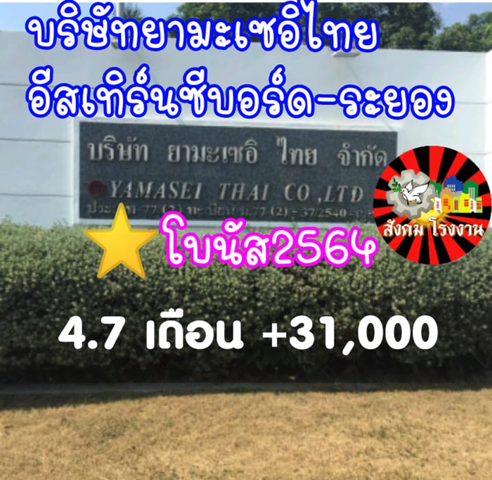 โบนัสปัง เยอะสุดปีนี้ !