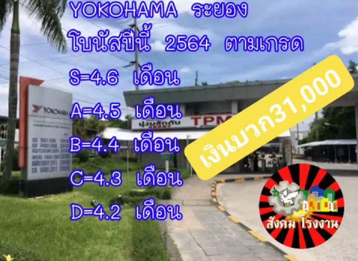 โบนัสปัง เยอะสุดปีนี้ !