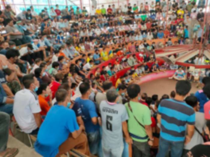 บ่อนไก่ชนชุมพร