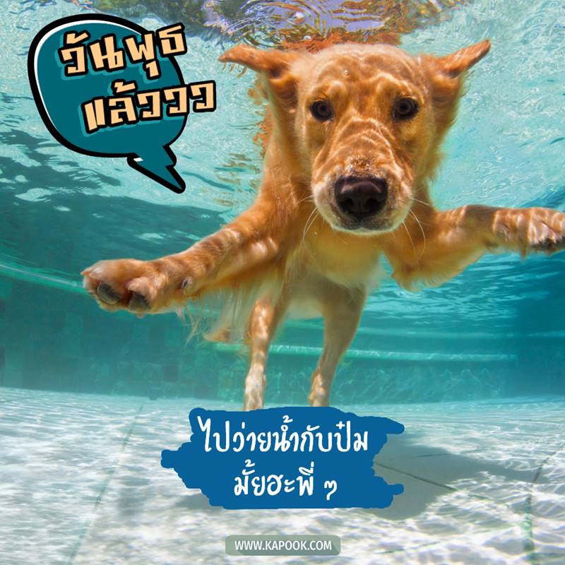 ดูดวงรายวัน วันที่ 26 พฤษภาคม 2564