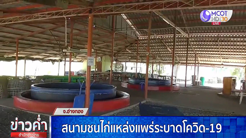 สนามชนไก่อ่างทอง