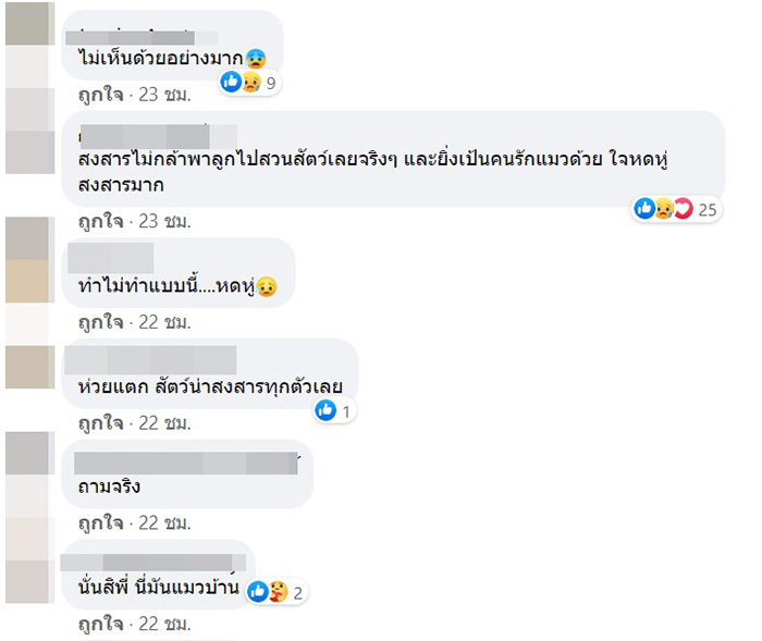 คอมเมนต์