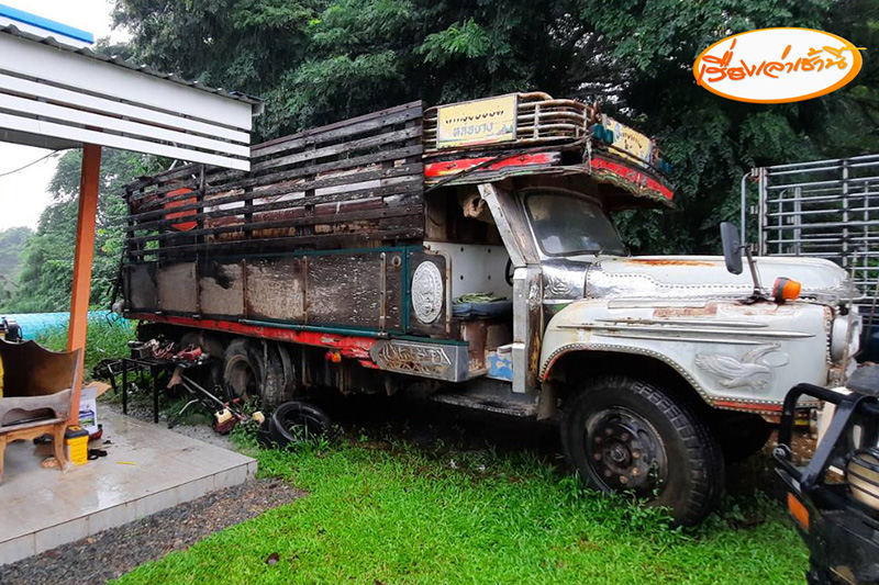 รังต่อยักษ์ สร้างรังในรถสิบล้อ