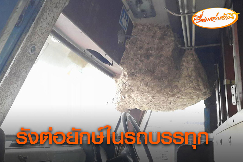 รังต่อยักษ์ สร้างรังในรถสิบล้อ