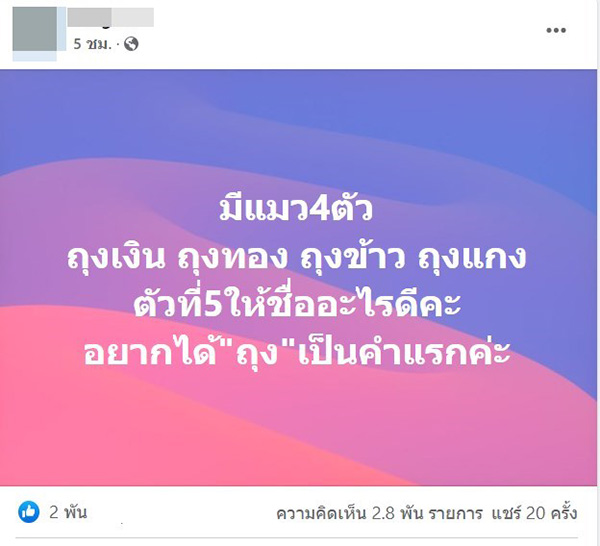 คอมเมนต์