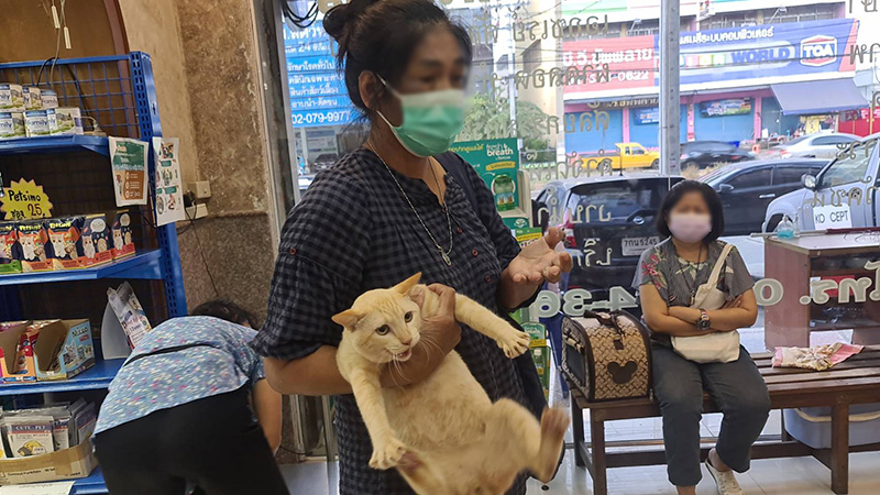 2 ผู้ใจบุญ เปิดศึกชิงแมวแก่จรจัด 