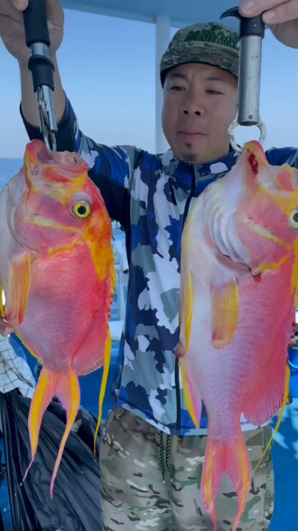 ดีเจภูมิกินปลาพิ้งกี้