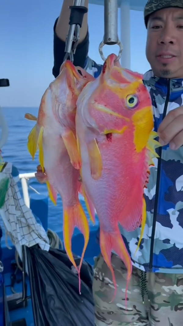 ดีเจภูมิกินปลาพิ้งกี้