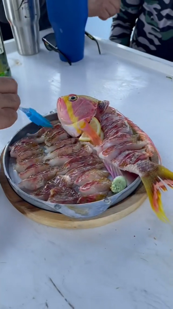 ดีเจภูมิกินปลาพิ้งกี้