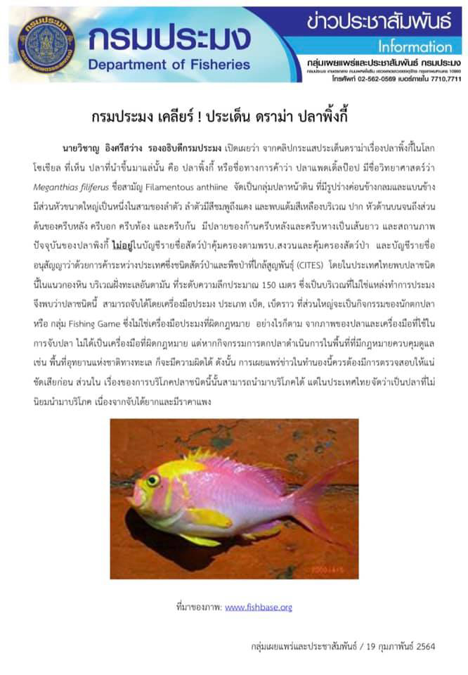 ดีเจภูมิกินปลาพิ้งกี้