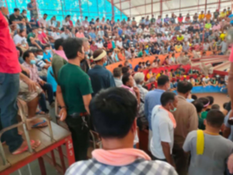 เจ้าของบ่อนไก่ชนชุมพร ขอโทษสังคม เปิดเชียร์ไก่กว่า 300 คน หวั่นโควิด 19 กระจาย